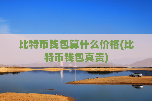 比特币钱包算什么价格(比特币钱包真贵)