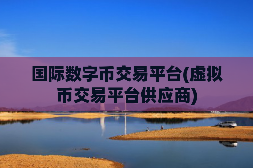 国际数字币交易平台(虚拟币交易平台供应商)