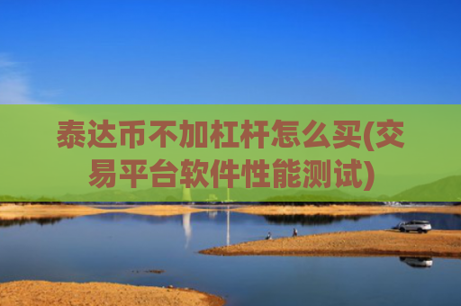 泰达币不加杠杆怎么买(交易平台软件性能测试)
