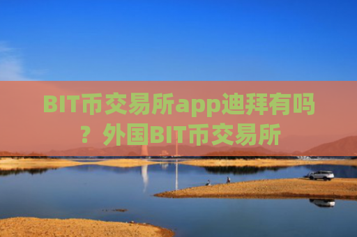 BIT币交易所app迪拜有吗?外国BIT币交易所