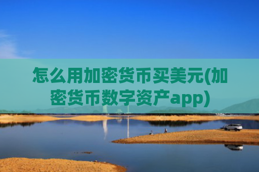 怎么用加密货币买美元(加密货币数字资产app)