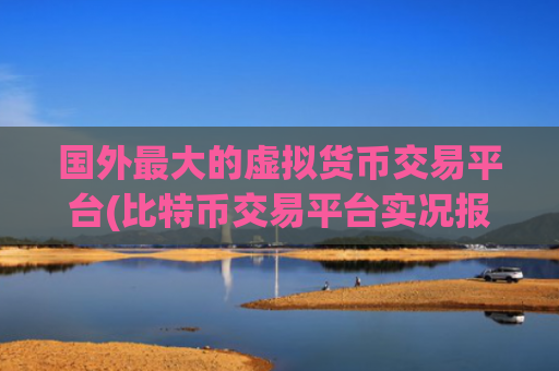 国外最大的虚拟货币交易平台(比特币交易平台实况报道)