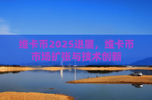 维卡币2025进展,维卡币市场扩张与技术创新