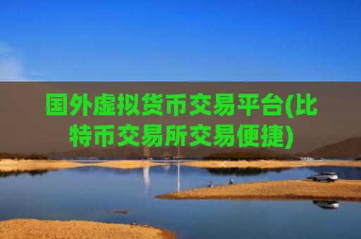国外虚拟货币交易平台(比特币交易所交易便捷)