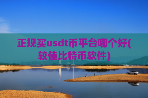 正规买usdt币平台哪个好(较佳比特币软件)