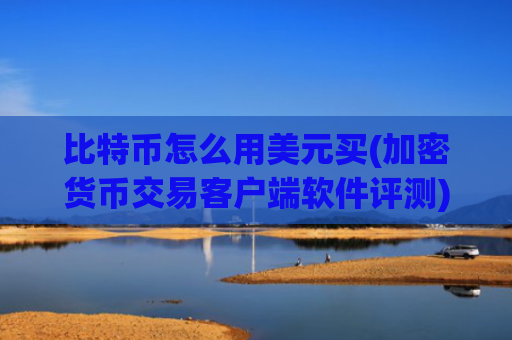 比特币怎么用美元买(加密货币交易客户端软件评测)