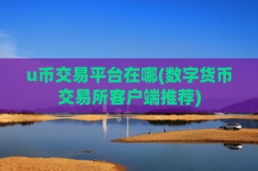u币交易平台在哪(数字货币交易所客户端推荐)