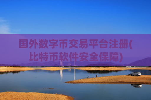 国外数字币交易平台注册(比特币软件安全保障)