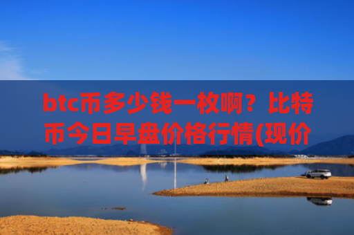 btc币多少钱一枚啊?比特币今日早盘价格行情(现价750709.45元)