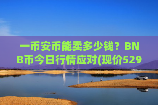 一币安币能卖多少钱?BNB币今日行情应对(现价5298.34元)