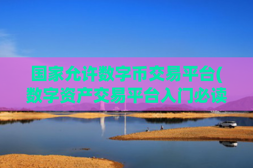 国家允许数字币交易平台(数字资产交易平台入门必读指南)