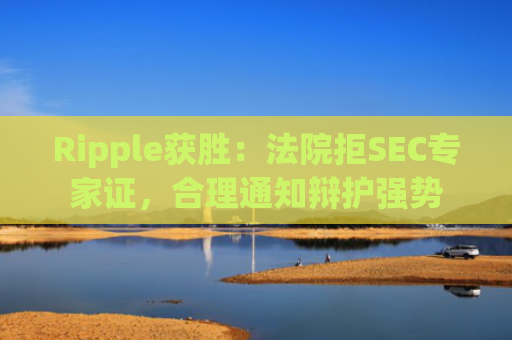 Ripple获胜：法院拒SEC专家证，合理通知辩护强势