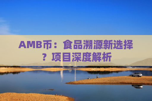 AMB币：食品溯源新选择？项目深度解析