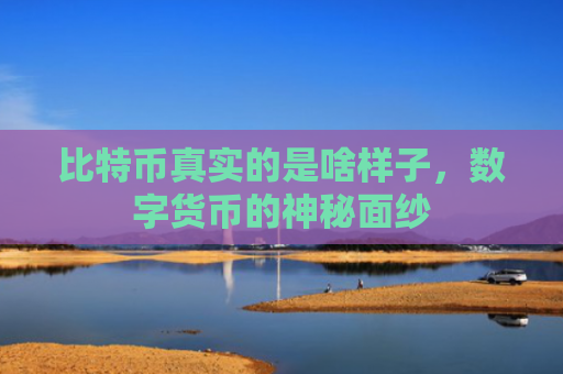 比特币真实的是啥样子,数字货币的神秘面纱