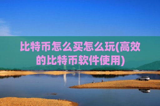 比特币怎么买怎么玩(高效的比特币软件使用)