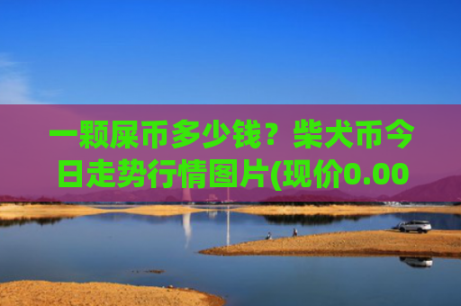一颗屎币多少钱？柴犬币今日走势行情图片(现价0.00023544元)