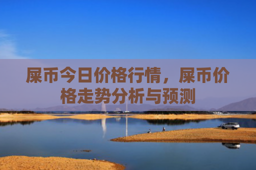 屎币今日价格行情,屎币价格走势分析与预测