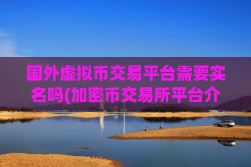 国外虚拟币交易平台需要实名吗(加密币交易所平台介绍)