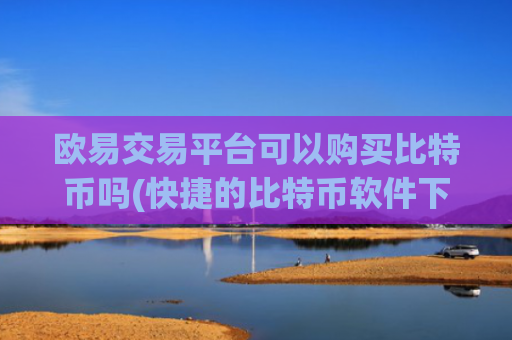 欧易交易平台可以购买比特币吗(快捷的比特币软件下载)