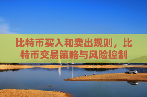 比特币买入和卖出规则,比特币交易策略与风险控制