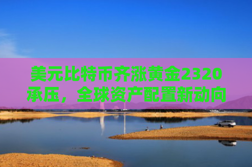 美元比特币齐涨黄金2320承压,全球资产配置新动向
