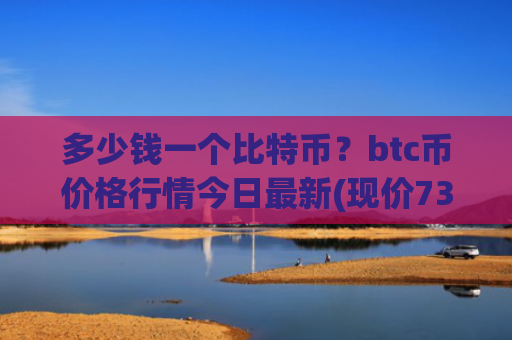 多少钱一个比特币？btc币价格行情今日最新(现价739901.15元)