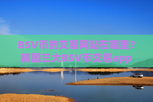 BSV币的交易网站在哪里?韩国三大BSV币交易app