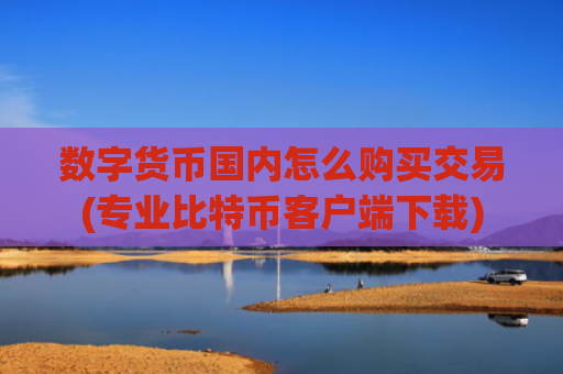 数字货币国内怎么购买交易(专业比特币客户端下载)