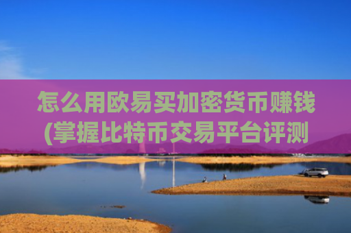 怎么用欧易买加密货币赚钱(掌握比特币交易平台评测)