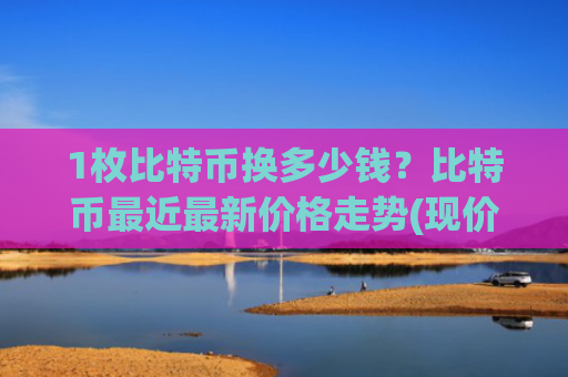 1枚比特币换多少钱?比特币最近最新价格走势(现价740612.53元)