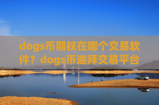 dogs币期权在哪个交易软件?dogs币迪拜交易平台app官网