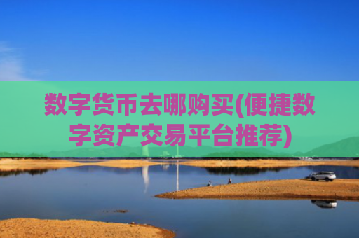 数字货币去哪购买(便捷数字资产交易平台推荐)
