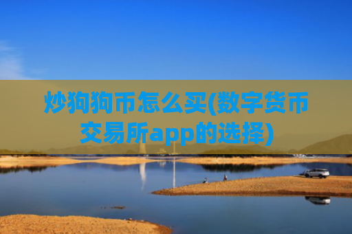 炒狗狗币怎么买(数字货币交易所app的选择)