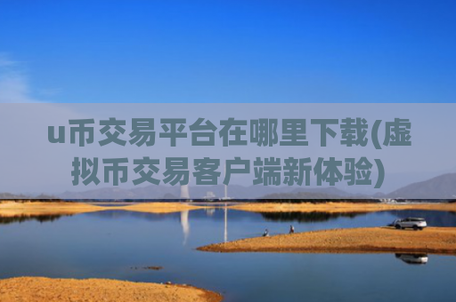 u币交易平台在哪里下载(虚拟币交易客户端新体验)