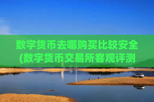 数字货币去哪购买比较安全(数字货币交易所客观评测)