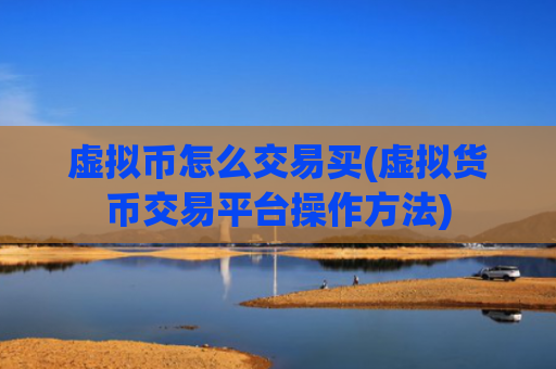 虚拟币怎么交易买(虚拟货币交易平台操作方法)