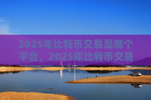 2025年比特币交易是哪个平台,2025年比特币交易领先平台