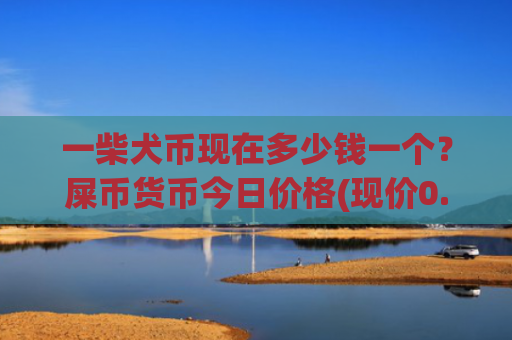 一柴犬币现在多少钱一个?屎币货币今日价格(现价0.00022863元)