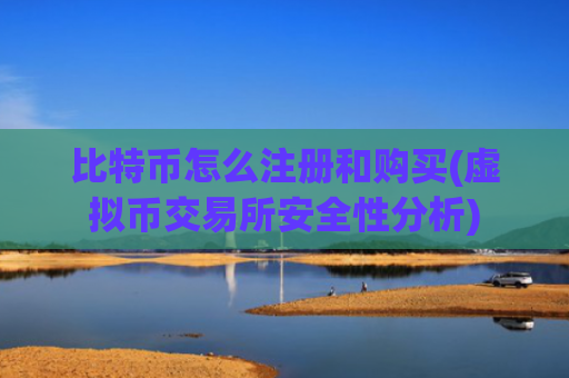 比特币怎么注册和购买(虚拟币交易所安全性分析)