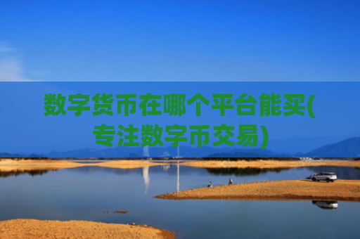 数字货币在哪个平台能买(专注数字币交易)