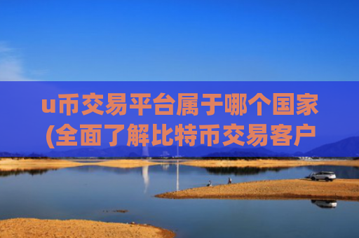 u币交易平台属于哪个国家(全面了解比特币交易客户端)