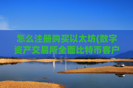 怎么注册购买以太坊(数字资产交易所全面比特币客户端)