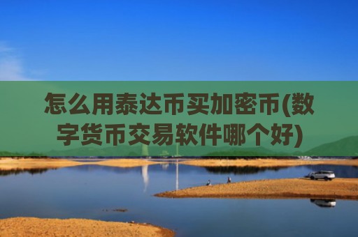怎么用泰达币买加密币(数字货币交易软件哪个好)