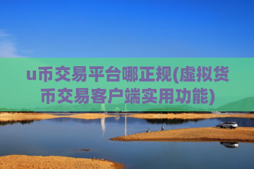 u币交易平台哪正规(虚拟货币交易客户端实用功能)