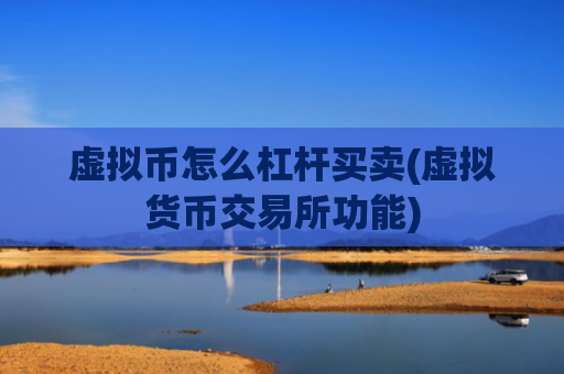 虚拟币怎么杠杆买卖(虚拟货币交易所功能)