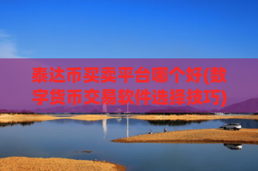 泰达币买卖平台哪个好(数字货币交易软件选择技巧)