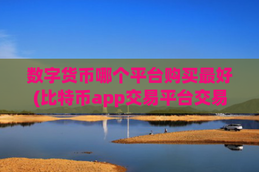 数字货币哪个平台购买最好(比特币app交易平台交易快捷)