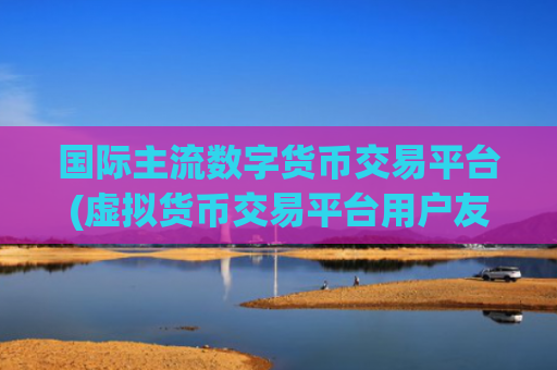 国际主流数字货币交易平台(虚拟货币交易平台用户友好)