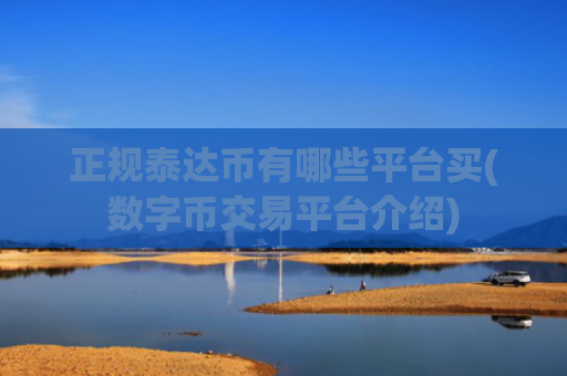 正规泰达币有哪些平台买(数字币交易平台介绍)