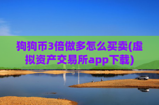 狗狗币3倍做多怎么买卖(虚拟资产交易所app下载)